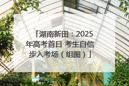 湖南新田：2025年高考首日 考生自信步入考场（组图）