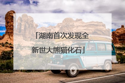 湖南首次发现全新世大熊猫化石