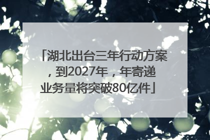 湖北出台三年行动方案，到2027年，年寄递业务量将突破80亿件