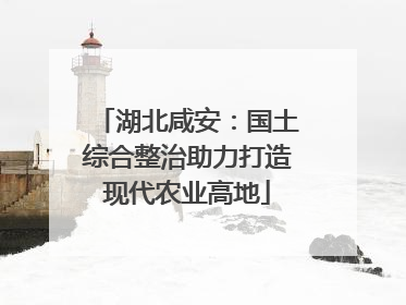 湖北咸安：国土综合整治助力打造现代农业高地