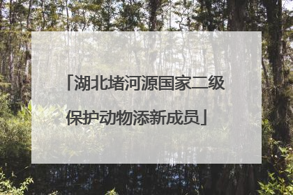 湖北堵河源国家二级保护动物添新成员