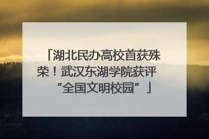 湖北民办高校首获殊荣！武汉东湖学院获评“全国文明校园”