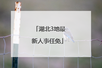 湖北3地最新人事任免