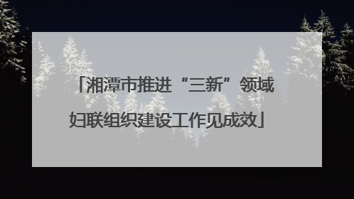 湘潭市推进“三新”领域妇联组织建设工作见成效