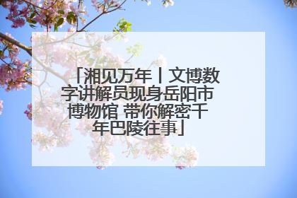 湘见万年丨文博数字讲解员现身岳阳市博物馆 带你解密千年巴陵往事