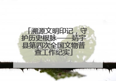 溯源文明印记，守护历史根脉——靖宇县第四次全国文物普查工作纪实