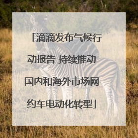 滴滴发布气候行动报告 持续推动国内和海外市场网约车电动化转型