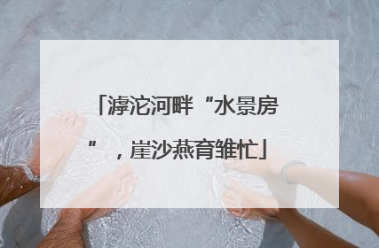 滹沱河畔“水景房”，崖沙燕育雏忙