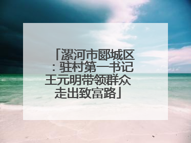 漯河市郾城区：驻村第一书记王元明带领群众走出致富路