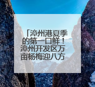 漳州港夏季的第一口鲜！漳州开发区万亩杨梅迎八方游客