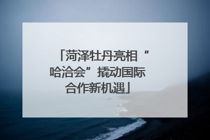 菏泽牡丹亮相“哈洽会”撬动国际合作新机遇