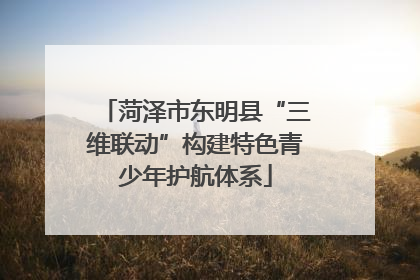 菏泽市东明县“三维联动”构建特色青少年护航体系