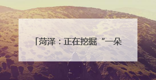 菏泽：正在挖掘“一朵牡丹花”的无限生机