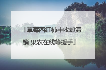 草莓西红柿丰收却滞销 果农在线等援手