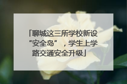 聊城这三所学校新设“安全岛”，学生上学路交通安全升级