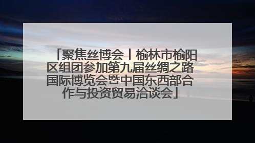 聚焦丝博会丨榆林市榆阳区组团参加第九届丝绸之路国际博览会暨中国东西部合作与投资贸易洽谈会