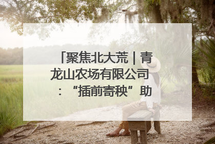 聚焦北大荒｜青龙山农场有限公司：“插前寄秧”助力农业节本增效