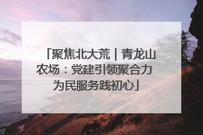 聚焦北大荒｜青龙山农场：党建引领聚合力 为民服务践初心