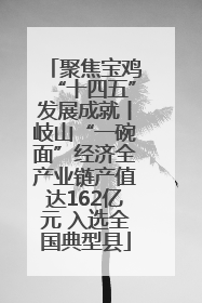 聚焦宝鸡“十四五”发展成就丨岐山“一碗面”经济全产业链产值达162亿元 入选全国典型县