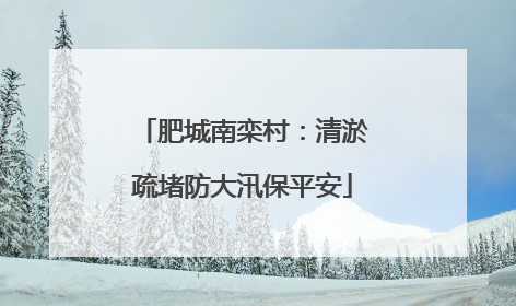 肥城南栾村：清淤疏堵防大汛保平安