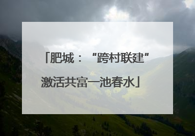 肥城：“跨村联建”激活共富一池春水