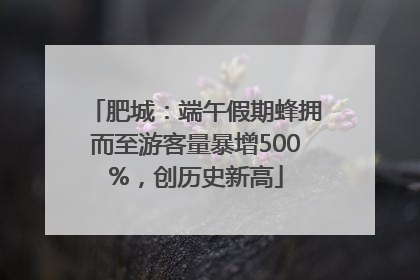 肥城：端午假期蜂拥而至游客量暴增500%，创历史新高