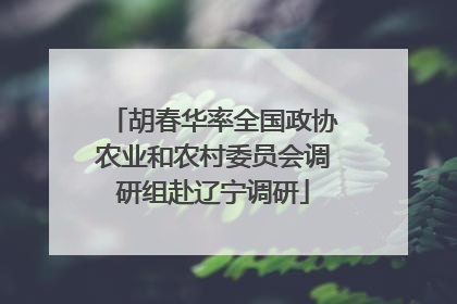 胡春华率全国政协农业和农村委员会调研组赴辽宁调研