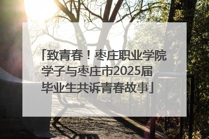 致青春！枣庄职业学院学子与枣庄市2025届毕业生共诉青春故事