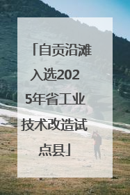 自贡沿滩入选2025年省工业技术改造试点县