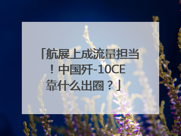 航展上成流量担当！中国歼-10CE靠什么出圈？