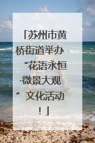 苏州市黄桥街道举办“花语永恒·微景大观”文化活动！