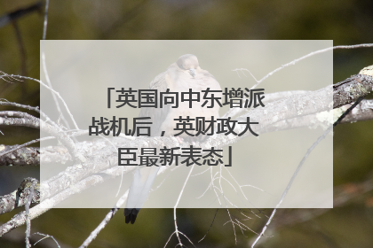 英国向中东增派战机后，英财政大臣最新表态