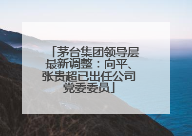 茅台集团领导层最新调整：向平、张贵超已出任公司党委委员