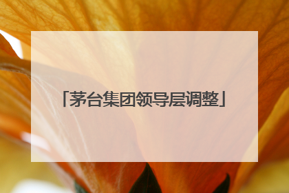 茅台集团领导层调整