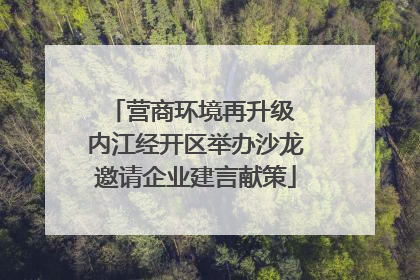 营商环境再升级 内江经开区举办沙龙邀请企业建言献策