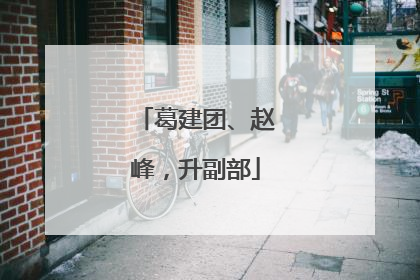 葛建团、赵峰，升副部