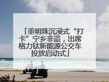 董明珠沉浸式“打卡”宁乡非遗，出席格力钛新能源公交车投放启动式
