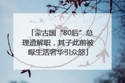 蒙古国“80后”总理遭解职，其子此前被曝生活奢华引众怒