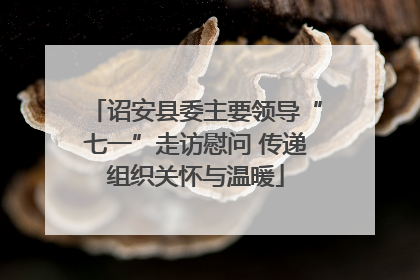 诏安县委主要领导“七一”走访慰问 传递组织关怀与温暖