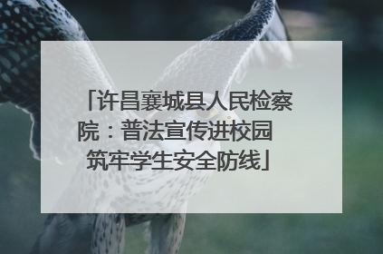 许昌襄城县人民检察院：普法宣传进校园 筑牢学生安全防线