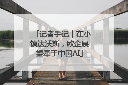 记者手记｜在小镇达沃斯，欧企展望牵手中国AI