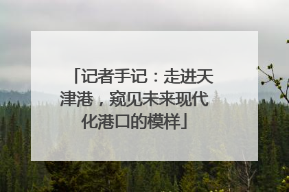 记者手记：走进天津港，窥见未来现代化港口的模样