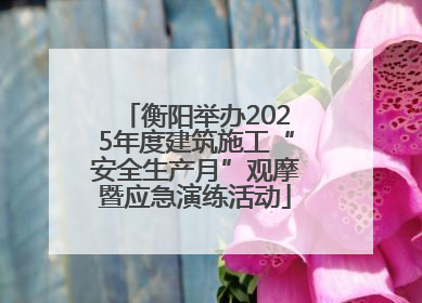 衡阳举办2025年度建筑施工“安全生产月”观摩暨应急演练活动