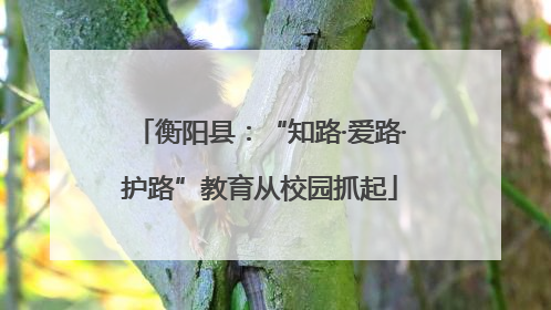 衡阳县：“知路·爱路·护路”教育从校园抓起