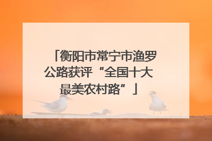 衡阳市常宁市渔罗公路获评“全国十大最美农村路”