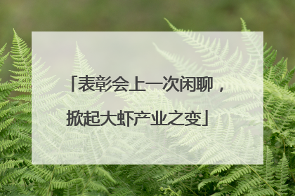 表彰会上一次闲聊，掀起大虾产业之变