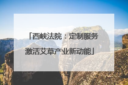 西峡法院：定制服务激活艾草产业新动能