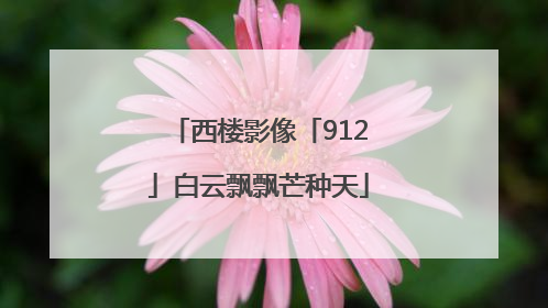西楼影像「912」白云飘飘芒种天