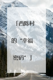西陈村的“幸福密码”