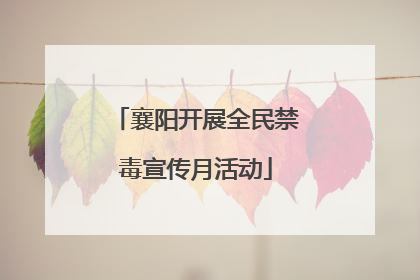 襄阳开展全民禁毒宣传月活动